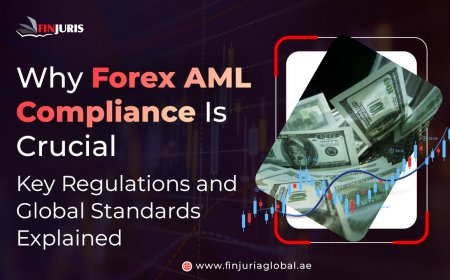 Why Forex AML Compliance Is Crucial: Key Regulations and Global Standards Explained