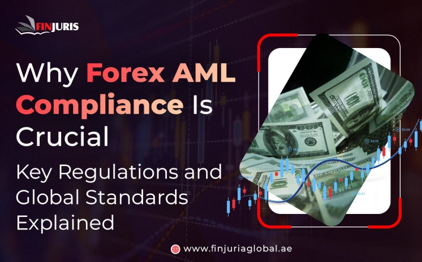 Why Forex AML Compliance Is Crucial: Key Regulations and Global Standards Explained